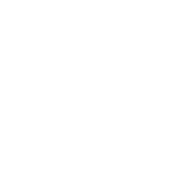 ce logo Hoover