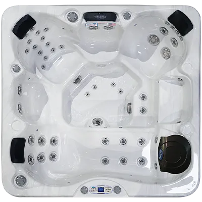 Avalon EC-849L hot tubs for sale in Hoover
